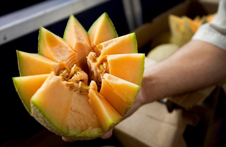 Fourth person dies in Australia from contaminated rockmelon