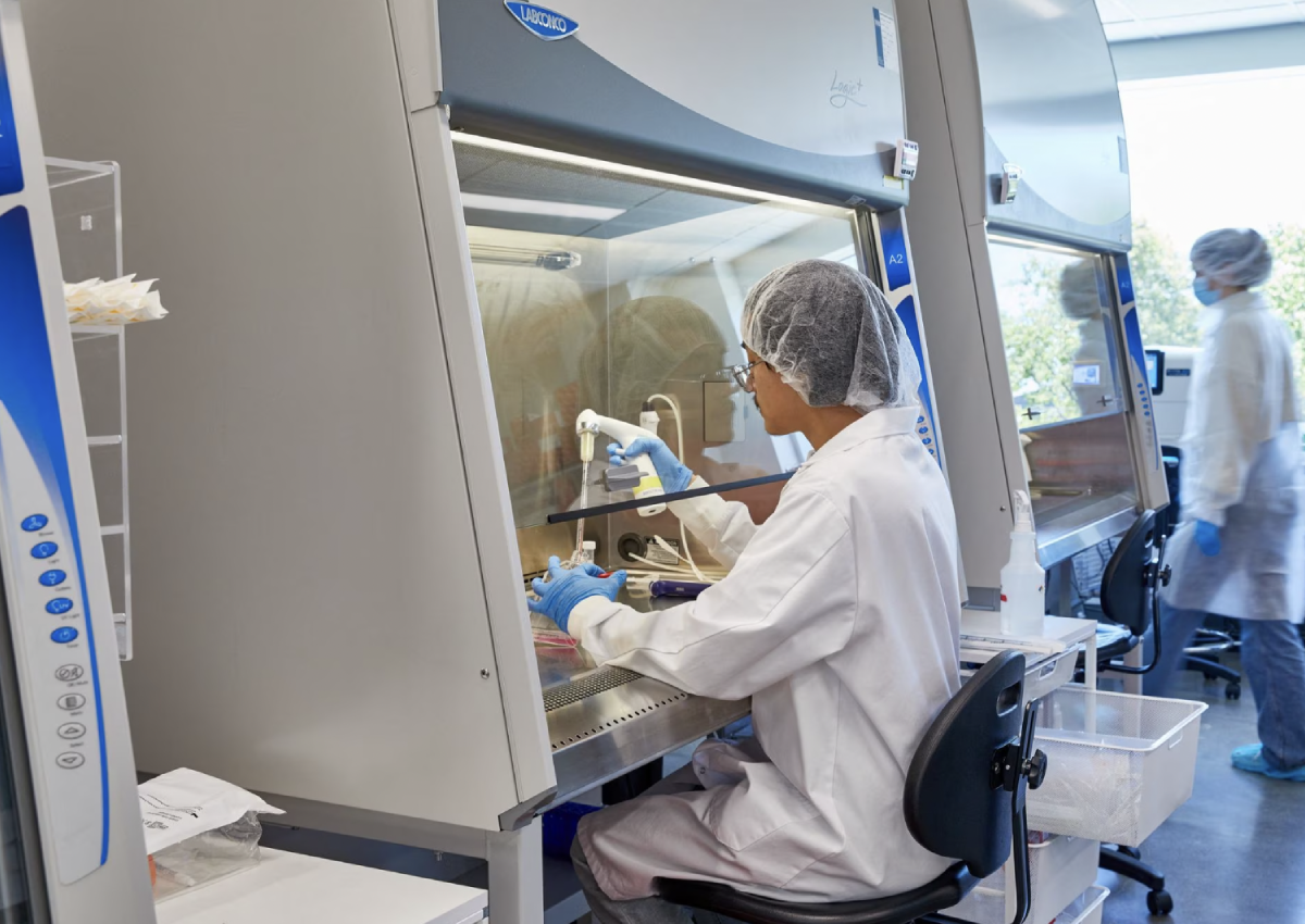 Gourmet fish bladder races chicken, beef to profitability in Singapore's lab meat push