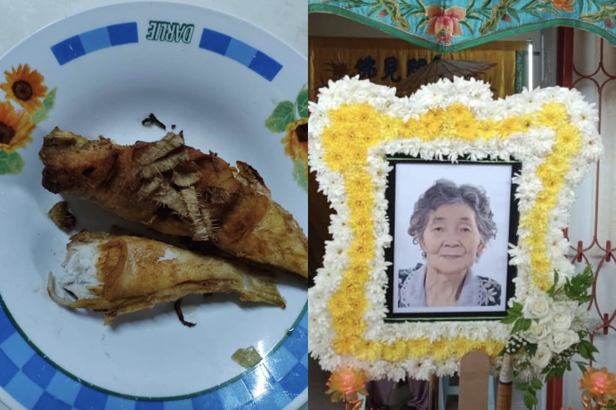 Elderly woman dies after eating puffer fish in Johor, was trying it for the first time