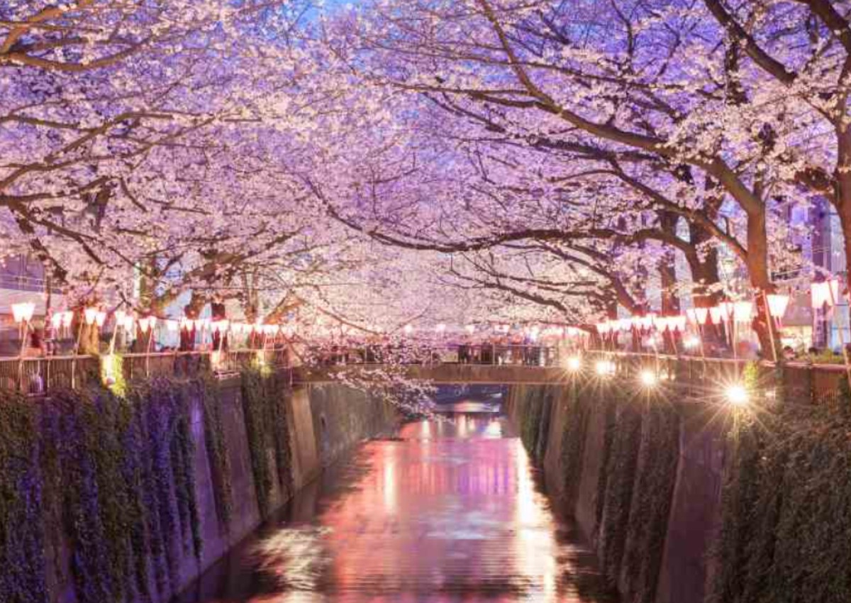 What to do this weekend (March 22 to 24)