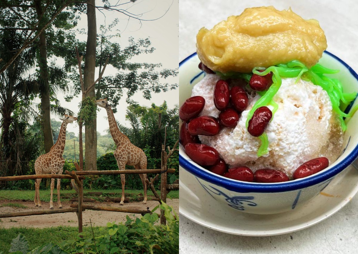 Food hunt at Singapore theme parks: Singapore Zoo