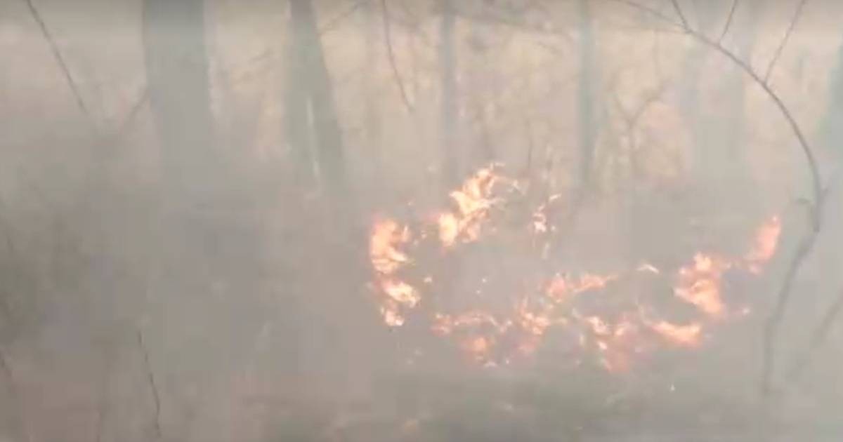 At least 4 people dead in South Korea's wildfires