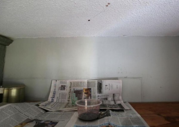 Structural issues not behind why blood dripped from Tampines flat ceiling: Baey Yam Keng