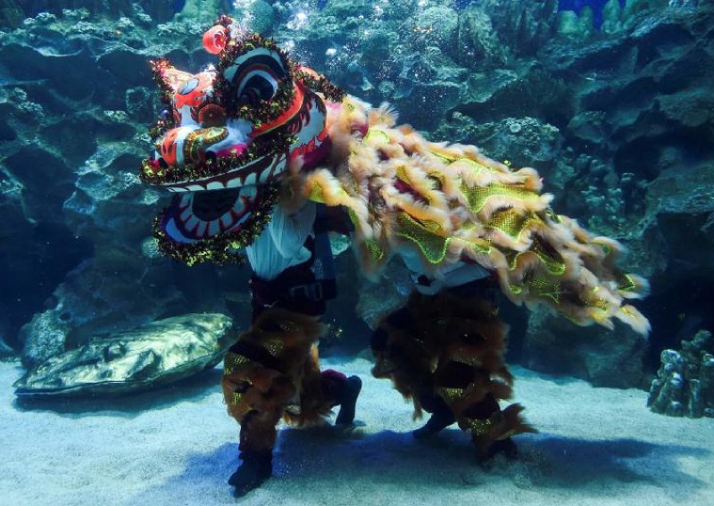 Divers perform underwater lion dance in Malaysia ahead of Chinese New Year