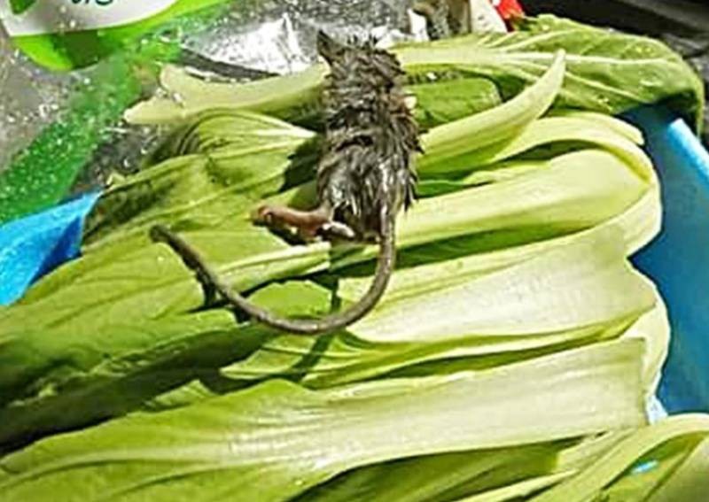 Ratted out: Dead rodent found in vegetables bought from Giant outlet in IMM