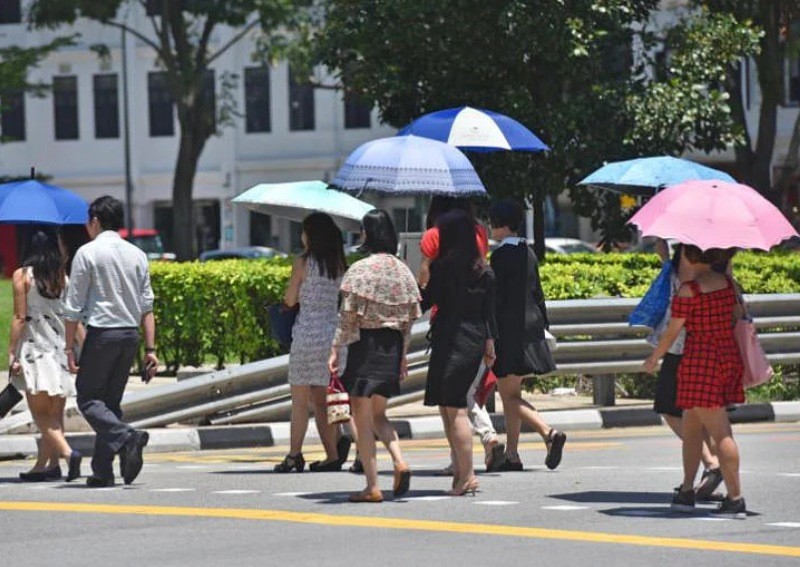 It's getting hot in here: Singaporeans sweating on how to beat the heat