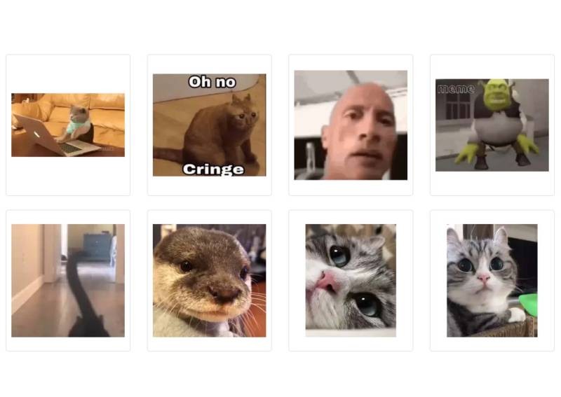 What your most-used Telegram sticker pack says about you