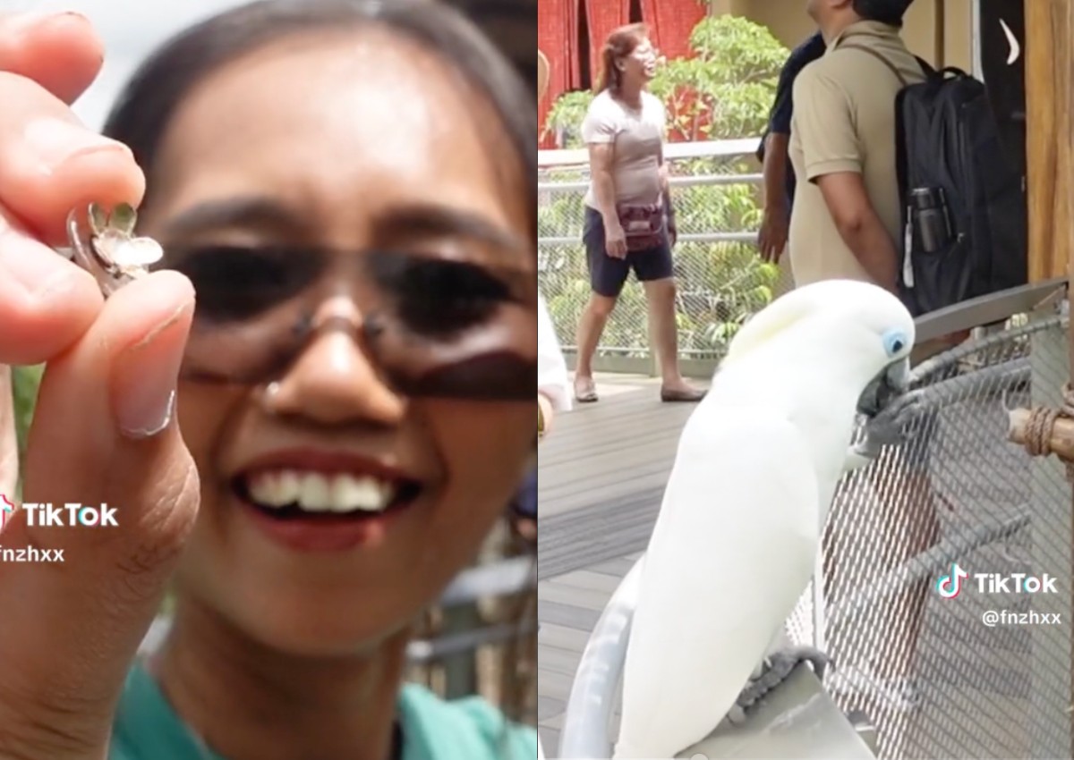 'Give me back': Woman stunned after cockatoo nicked her pearl at Bird Paradise; not bird’s first heist