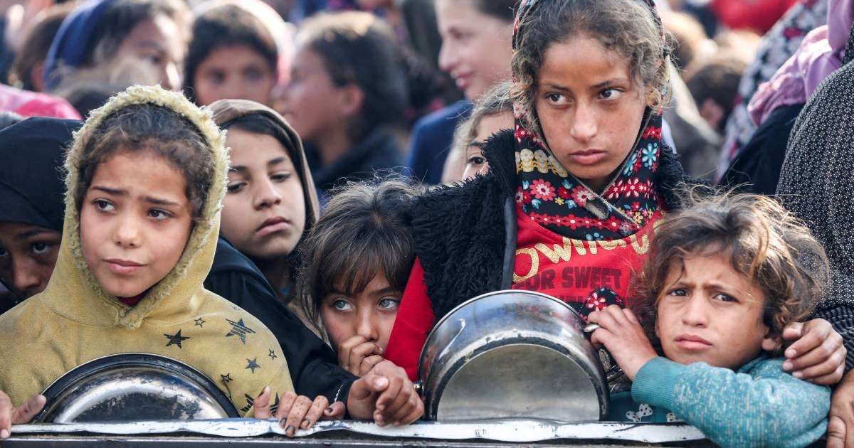 'Our children are dying slowly', says father searching for food in Gaza 