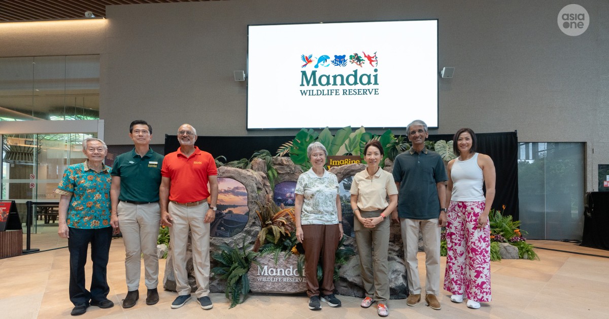 Rainforest Wild Adventure fully opens, marking completion of Mandai Wildlife Reserve