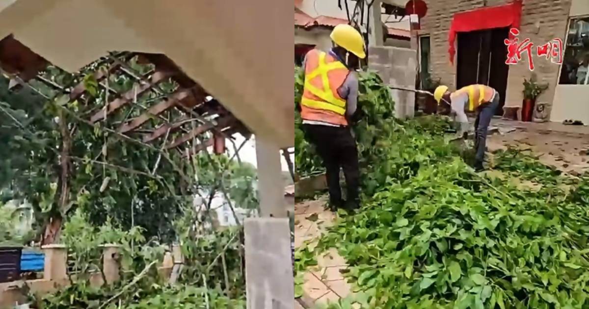Heavy rain causes tree branches to snap, damaging roof of home in Yio Chu Kang