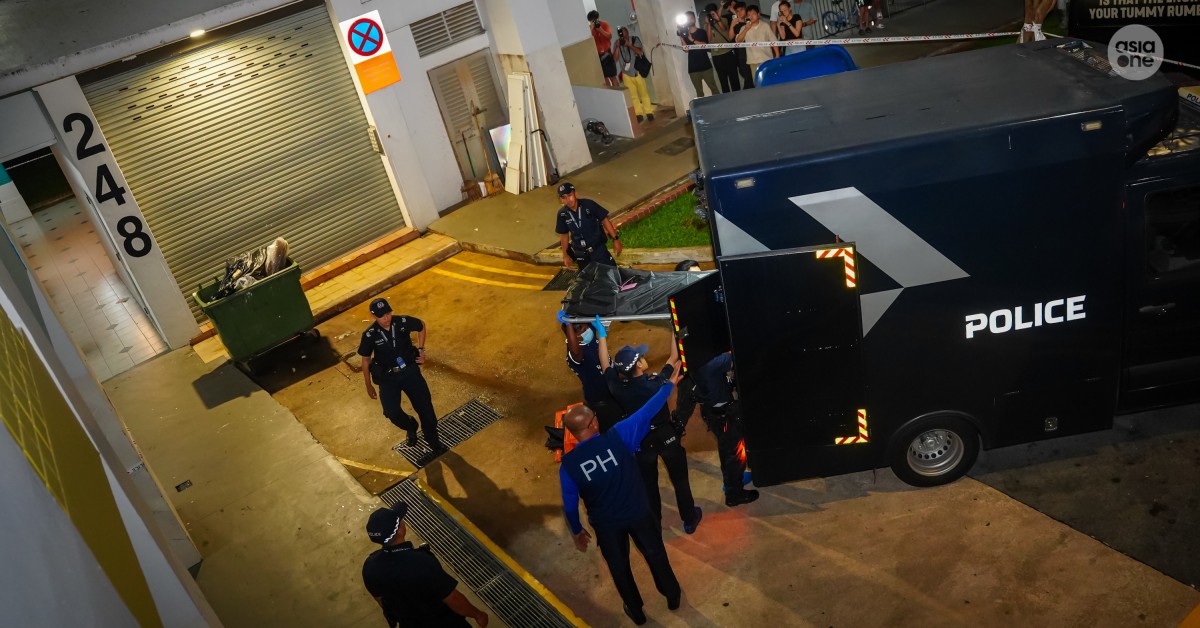 Woman stabbed to death by ex-lover in Choa Chu Kang, alleged assailant jumps down HDB block