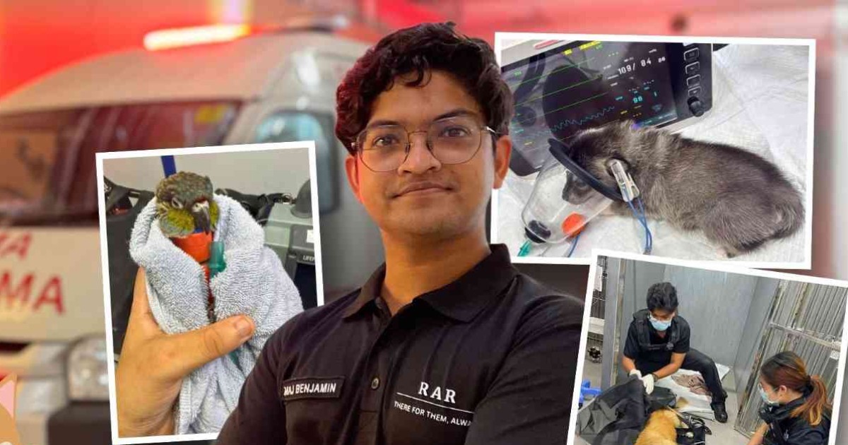 He's only 25, and a pioneer of Singapore's only uniformed 24-hour private pet rescue service