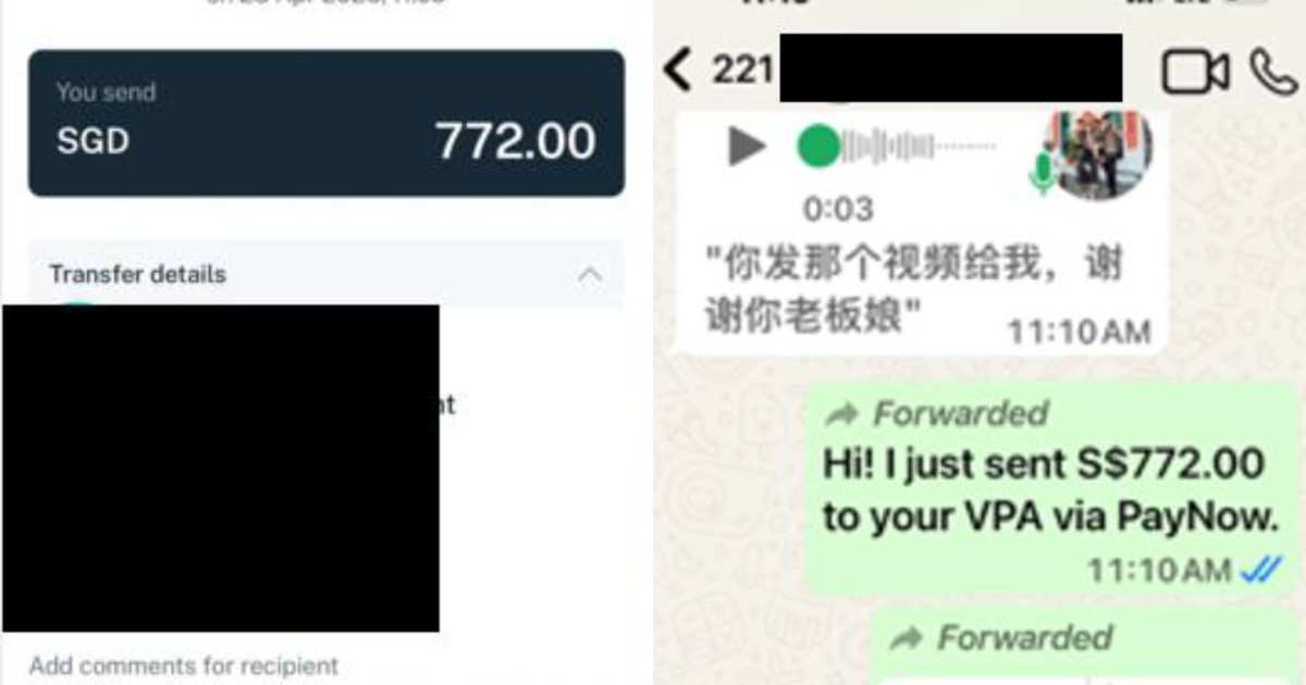Over $53k lost to cruise package e-commerce scams since April