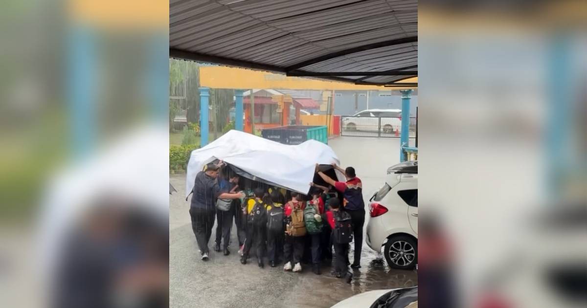 Teachers in Malaysia earn praise for shielding students from heavy rain in heartwarming video