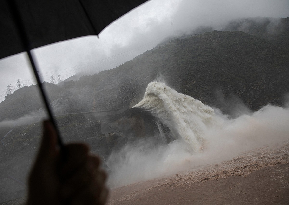 China halts bridge construction after 6,000 rare fish die