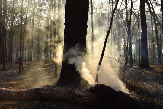 Australia's east coast declares state of emergency amid 'catastrophic' fire threat
