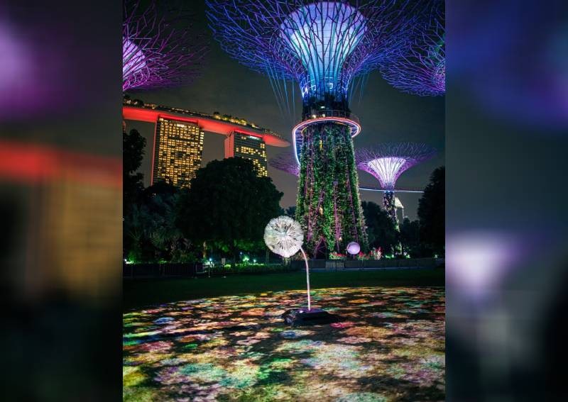 What to do during this phase 2 weekend (Nov 13-15)