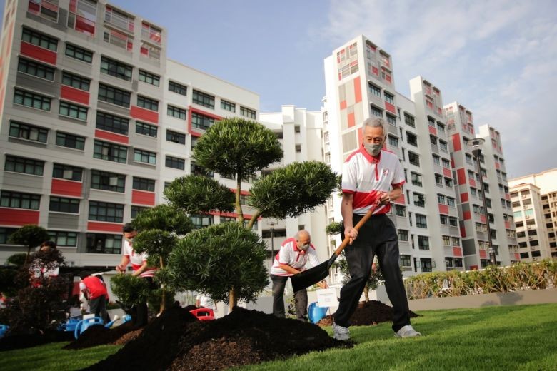 Tree Planting Day: PM Lee plants bonsai trees at Hougang rooftop garden