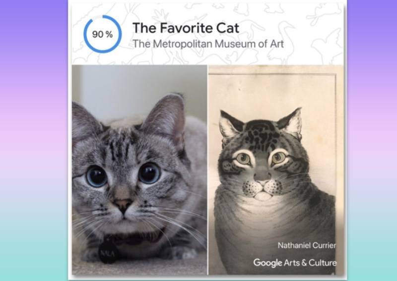 Google's Pet Portraits lets users find artwork doppelgangers of their furkids