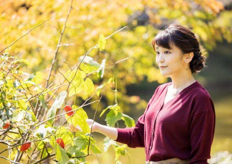 Japan's Crown Prince criticises 'terrible things' in media coverage of daughter's marriage