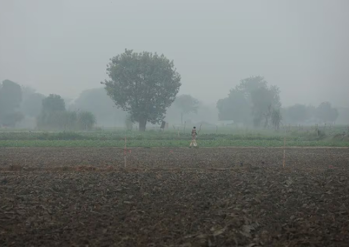 Indian capital gets a breather as rain brings respite from smog