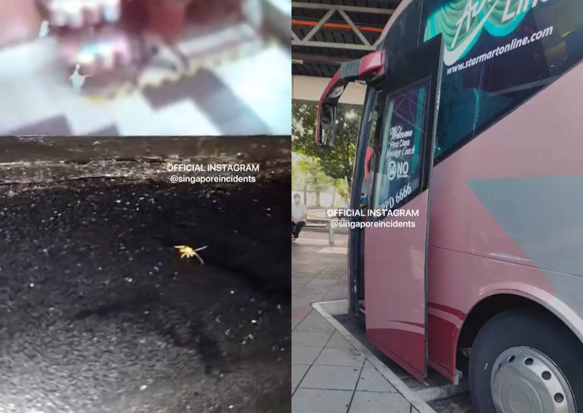 'Infested with cockroaches': Coach driver allegedly refuses to swap passenger's seat after latter finds bugs crawling about