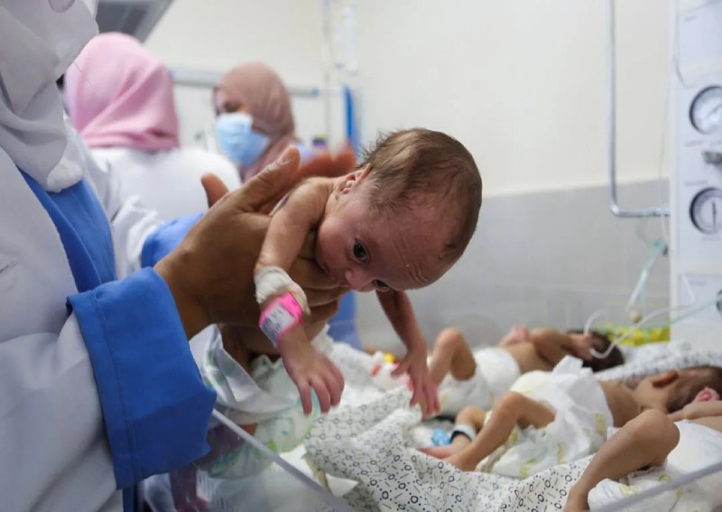 Palestinian Red Crescent, UN agencies evacuate Al Shifa premature babies