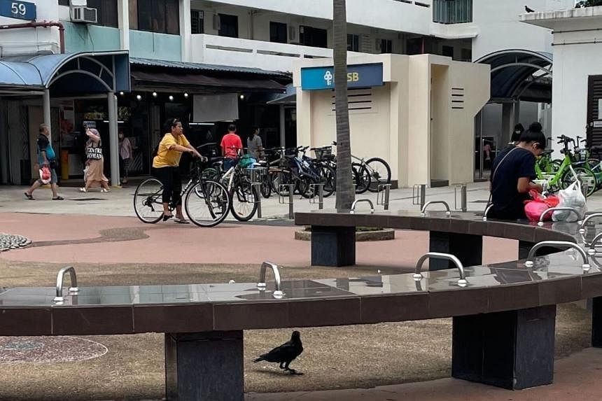 Crow attacks boys aged 2 and 5 at Marine Parade