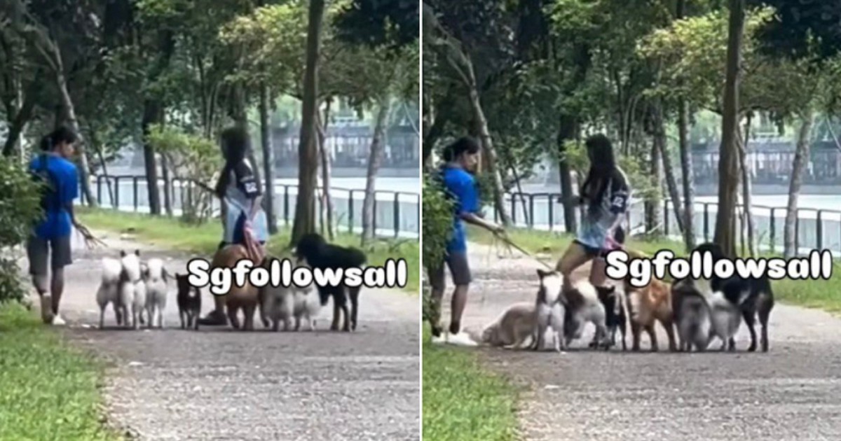 'I really needed to stop her in emergency': Woman who kicked dog at Coney Island says it was to protect pet