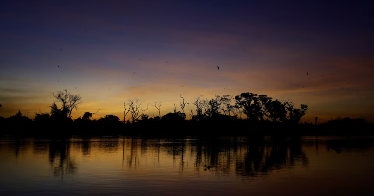 Methane from tropical wetlands is surging, threatening climate plans