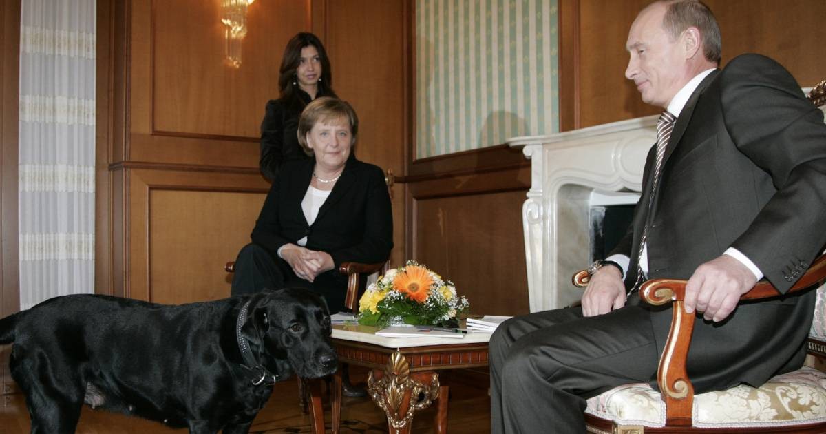 Putin denies he tried to frighten Merkel with dog Koni