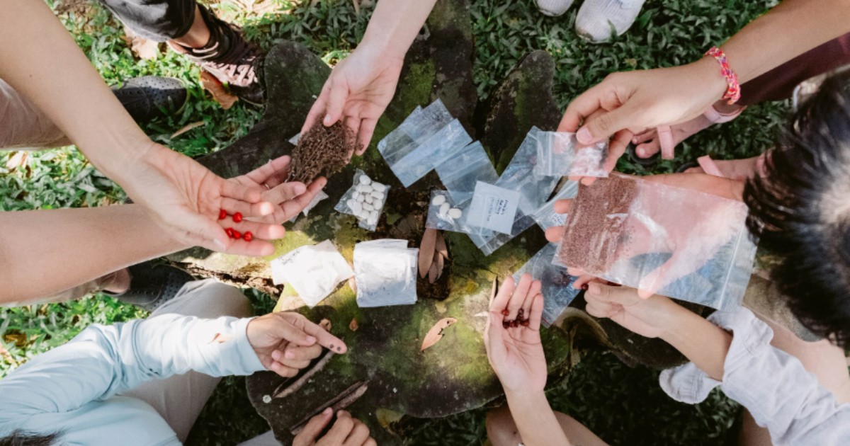 Living Earth Festival 2025 in Singapore: Where urban life meets the roots of nature