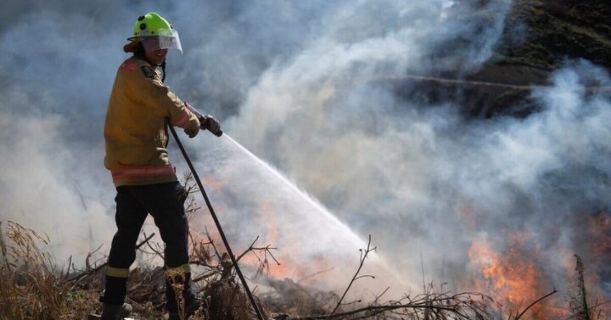 New Zealand authorities send extra fire planes to battle 1,100-hectare wildfire