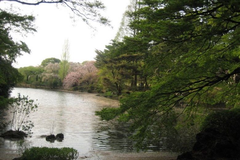 Timid employee at Tokyo's Shinjuku Gyoen lets visitors in for free over 2 years, costs garden 25 million yen