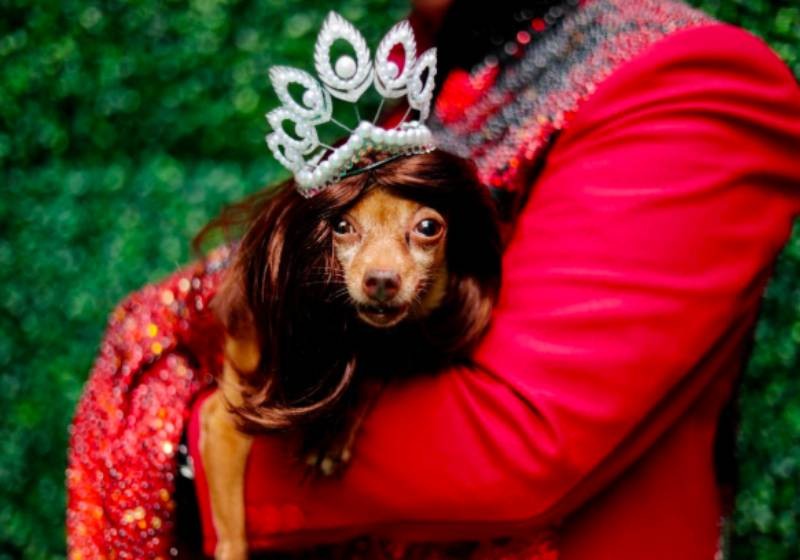 Owners present pets to Philippines priest for blessing