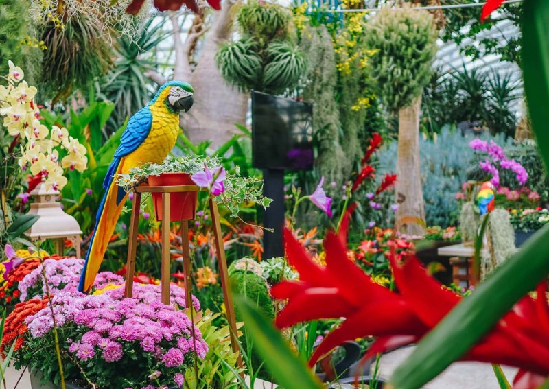 What to do during this Phase 2 weekend (Oct 9 to 11)