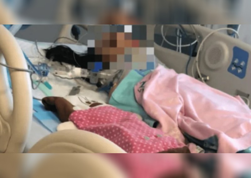 Daily roundup: 8-year-old girl in Woodlands accident still unconscious - and other top stories today