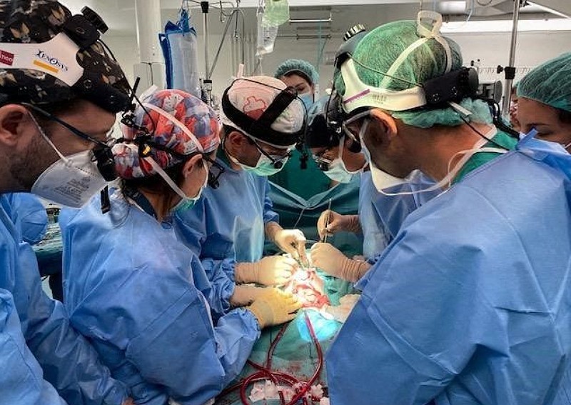 Spanish baby gets pioneering intestine transplant
