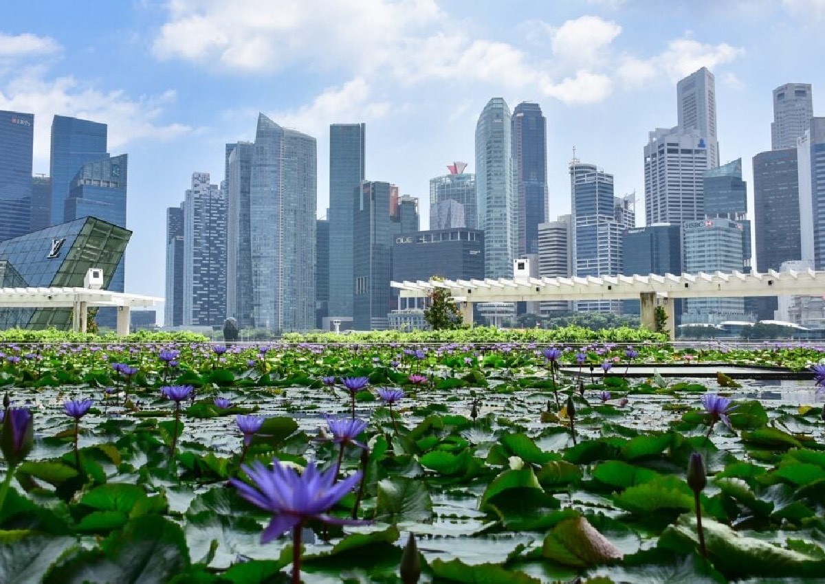 HDB flats with the best views: More than just a room with a view