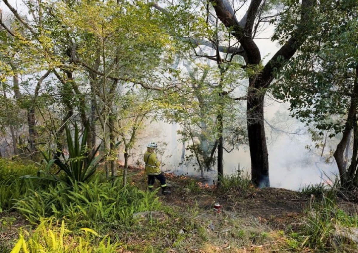 Residents in rural Australia urged to evacuate as bushfires rage