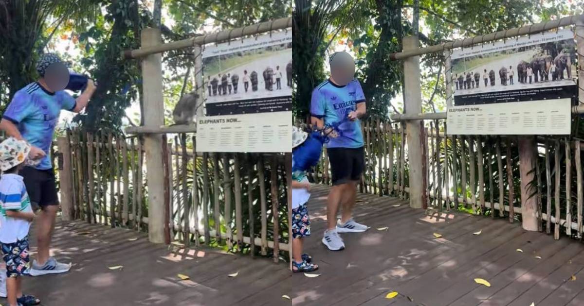 'Instant karma': Man swings bag at monkey after it allegedly stole food, accidentally hits son in the process