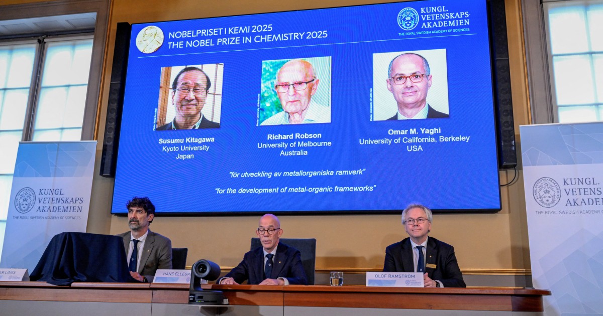 Trio win Nobel chemistry prize for work on 'Hermione's handbag' materials