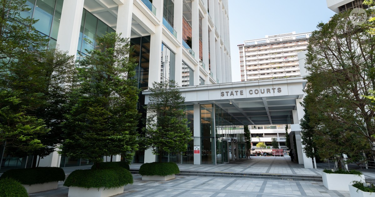 Daily roundup: Woman throws 3 flower pots and rack from HDB block after night of drinking, jailed 4 weeks — and other top stories today
