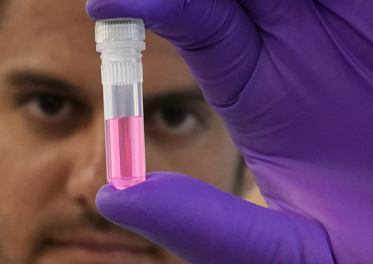 New York scientists use new DNA tools to identify 9/11 victims