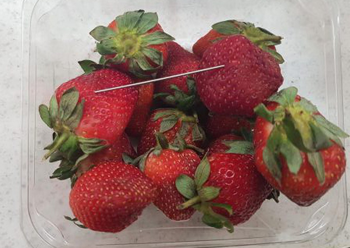 Strawberry sabotage akin to 'terrorism': Australia PM