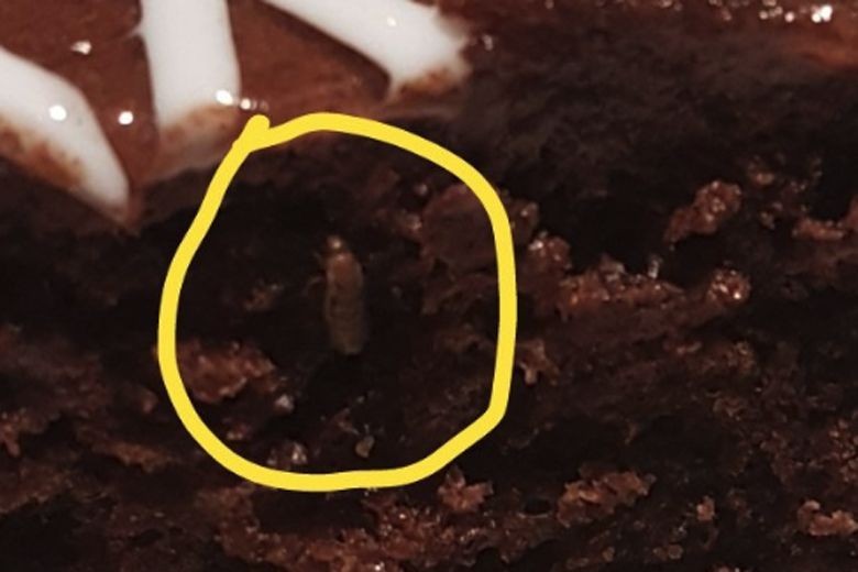 Bug in cake gives Ikea India fresh embarrassment