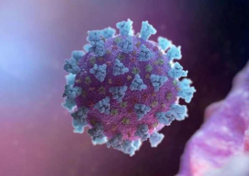 Australian firm says its nasal spray reduced coronavirus growth in animal study