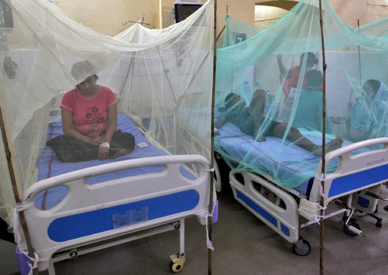 Dengue suspected of killing dozens as Indian state suffers worst outbreak in years