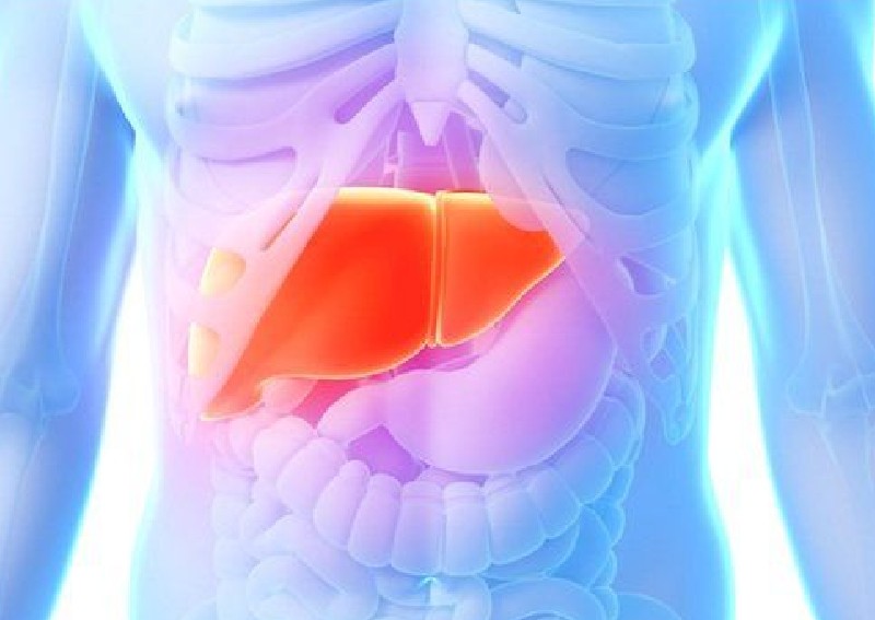 Fatty liver 101: Symptoms, causes, types, diet, treatment & reversal